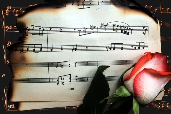 Świeże róża na papierze spalony Uwaga — Zdjęcie stockowe