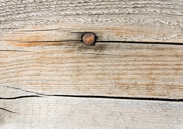 Closeup rusty nail — Stock Photo, Image