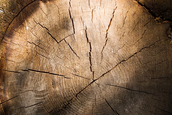 Taglio tronco di legno — Foto Stock