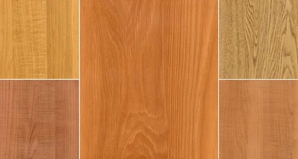 Different wood texture closeup — Stock Photo, Image