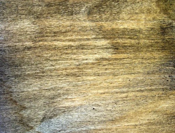 Погодный деревянный лист — стоковое фото