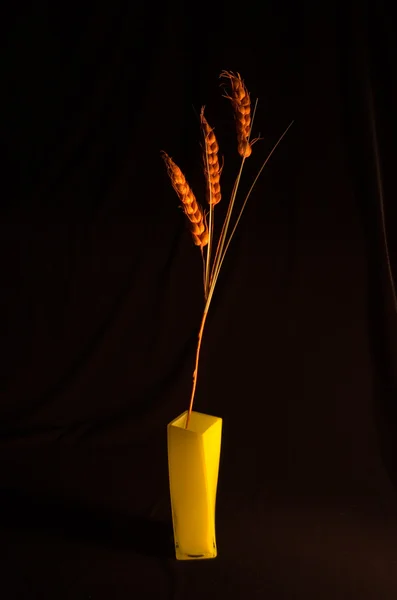 Ornement décoratif de trois grains cerise — Photo