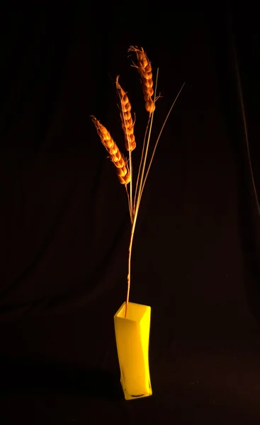 3 穀物 cer から装飾的な飾り — ストック写真