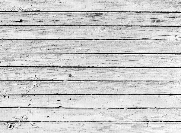 Grunge background from dried black and white wooden plank