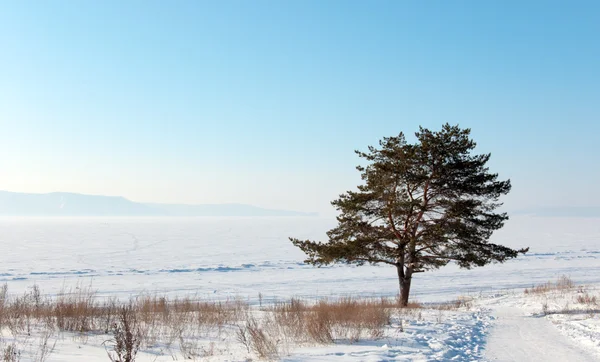 Vinter morgon landskap — Stockfoto