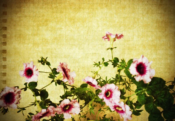 Carte florale vintage — Photo