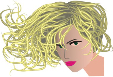 Hair clipart