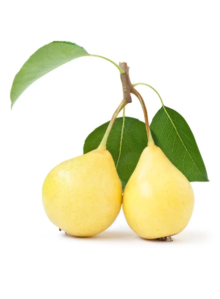 stock image Yellow pear with green leaf