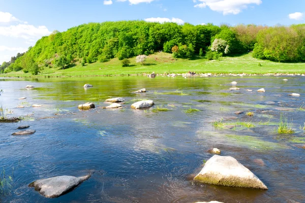 stock image Nature