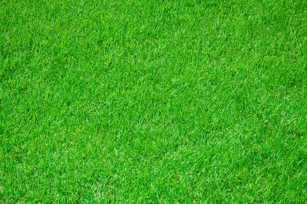 Gräs på fotbollsstadion — Stockfoto