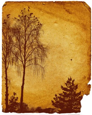 Leaf of the old turned yellow paper clipart