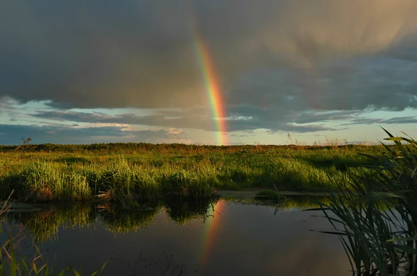 Evening rainbow — Stock Photo, Image