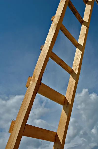 stock image Ladder wooden