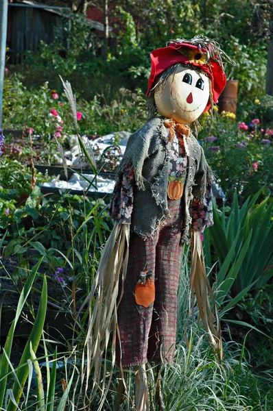 stock image Decorative scarecrow-ornament