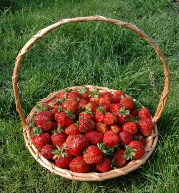 Strawberry Basket clipart