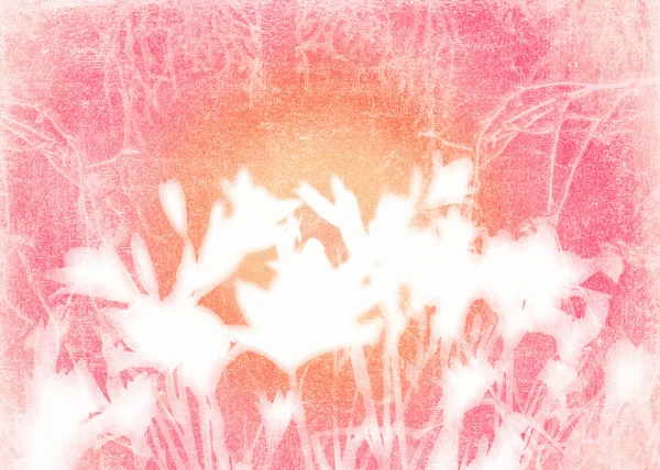 Grunge rosa sfondo floreale — Foto Stock