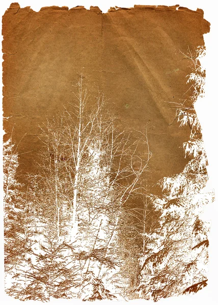 Altes Papier mit Landschaft — Stockfoto