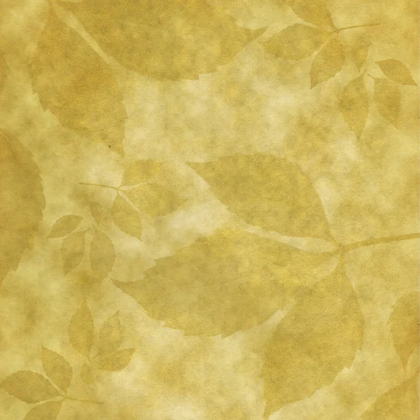 Oud papier met gebeeldhouwde bladeren — Stockfoto