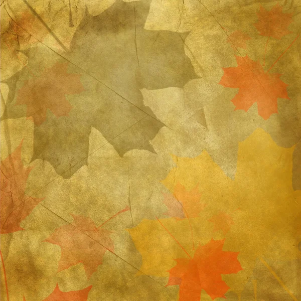 Altes Papier mit Ahornblättern — Stockfoto