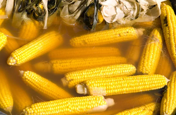 Corn Cobs Water — Stock Photo, Image