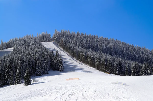 Θέρετρο σκι — Φωτογραφία Αρχείου