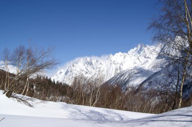 Kaukasus. winter forest