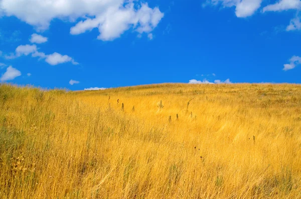 草原の風景 — ストック写真