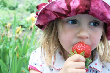 little girl with strawberry  clipart