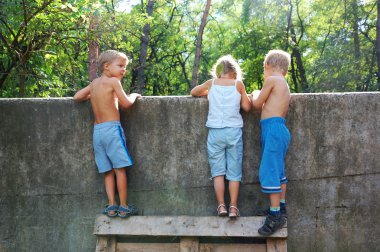 boys at the fence in the summer  clipart