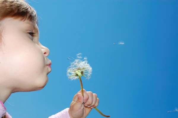 Child Blowing Dandelion — Stock Photo, Image
