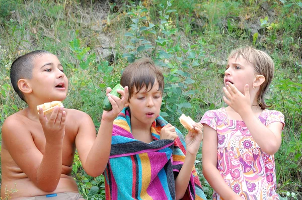 Group Children Eating Fruit Picnic Outdoors — Zdjęcie stockowe