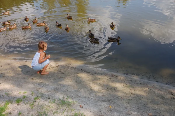 Girl Feeding Ducks Pond — стоковое фото