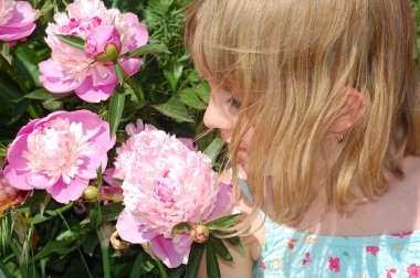 peonies kızla