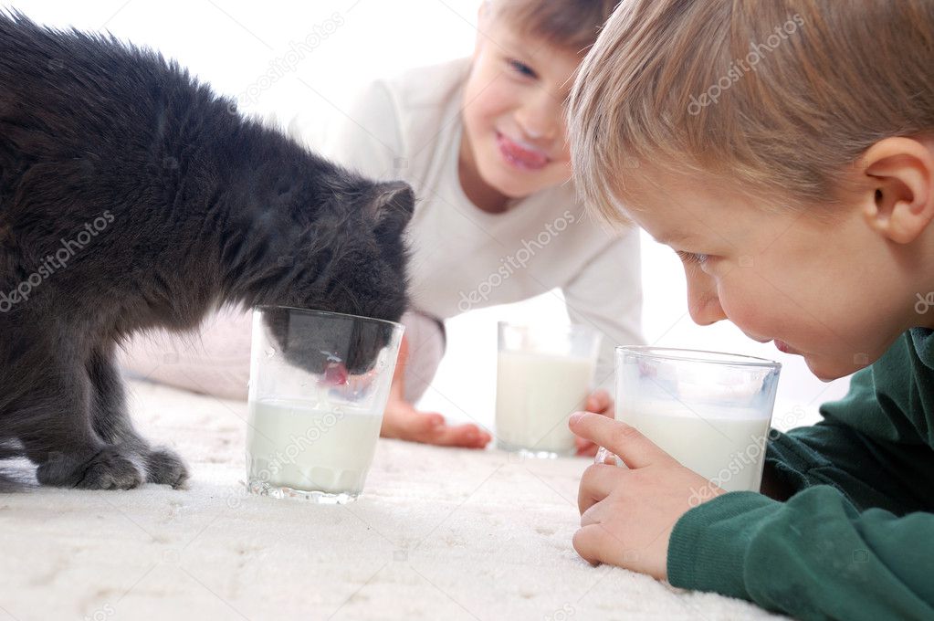 They all like milk