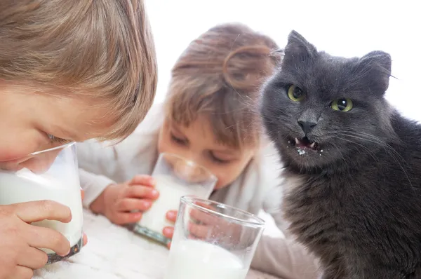 儿童和喝牛奶的猫 — 图库照片