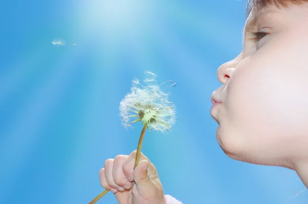 Dandelion wishing blowing seeds — Stock Photo, Image