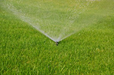 Grass sprinkler clipart