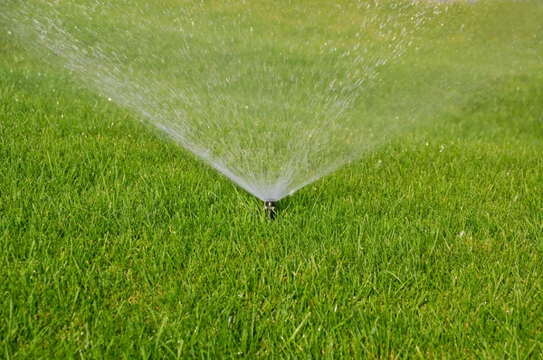 Irrigatore per erba — Foto Stock