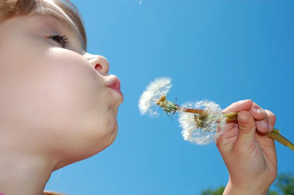 Dandelion wishing blowing child — Stock Photo, Image