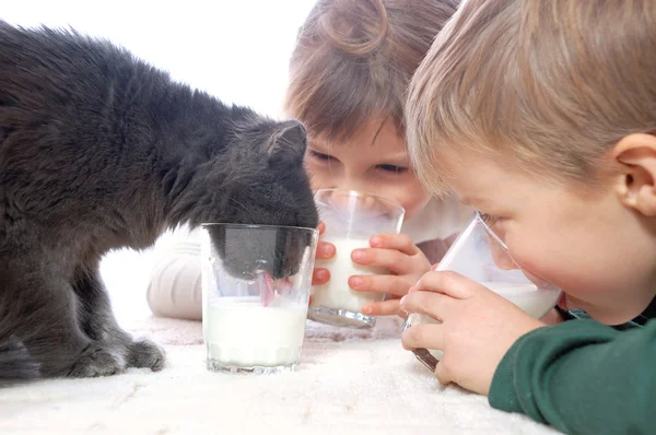 Kids and cat drinking milk together — Stock Photo, Image