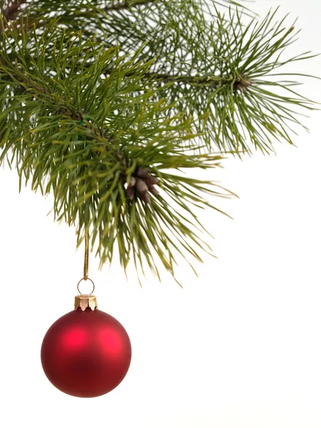 Χριστουγεννιάτικη Χοροεσπερίδα Που Κρέμεται Από Ένα Δέντρο — Φωτογραφία Αρχείου
