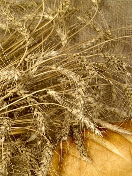 Tahıl çuval bezi ile beyaz ekmek üzerinde — Stok fotoğraf