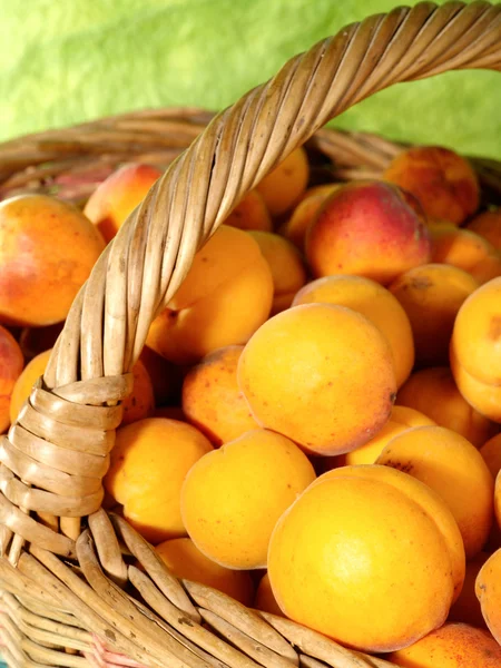 Свіжі соковиті абрикоси в кошику — стокове фото