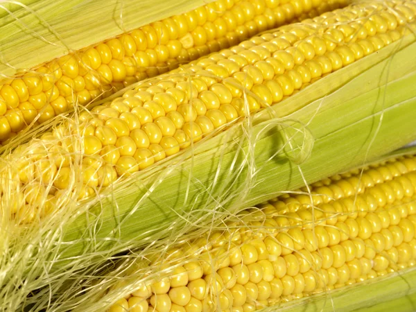 Fresh taste corn as food background. not — Stock Photo, Image