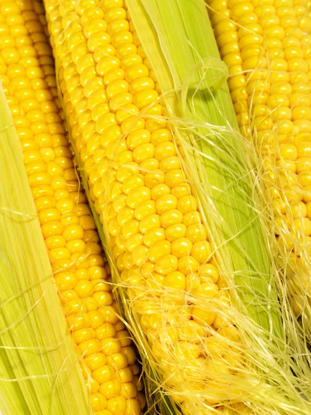 Fresh taste corn as food background. not — Stock Photo, Image