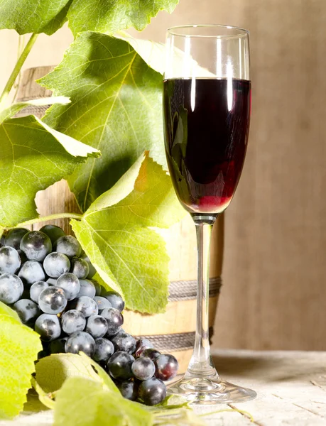 Vieux vin rouge en verre avec grappin et vigne — Photo