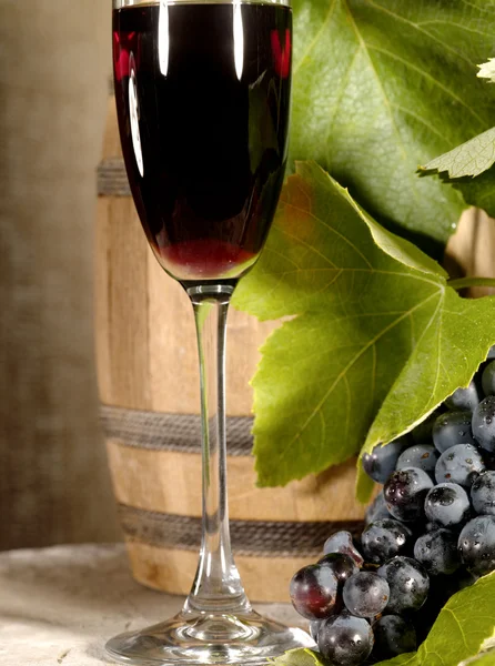 Vino tinto viejo con bodegón de uva — Foto de Stock