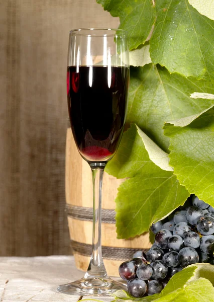 Gammalt rött vin med vindruvsstilleben — Stockfoto