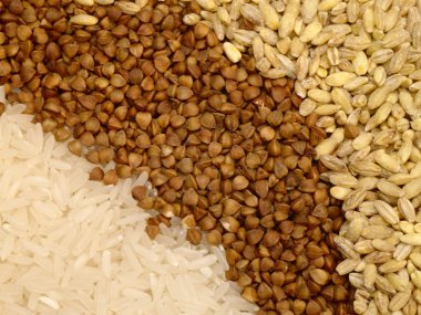 Rice, buckwheat and pearl-barley as back clipart