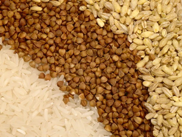 Rijst, boekweit en parel-gerst als back — Stockfoto